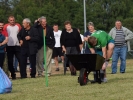 Dożynki Gminne - Rogowo - Na sportowo 2017.08.19